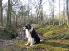 Backershagen Wassenaar