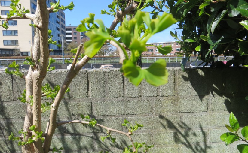 Zomerstop…….wat nemen we mee op vakantie…….