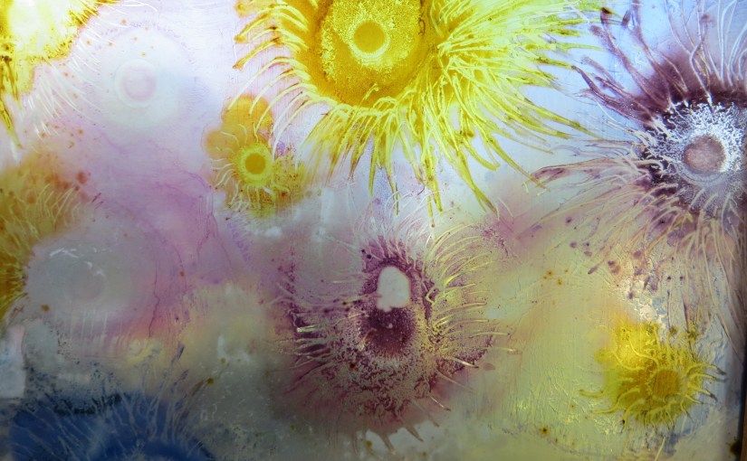 Oktober 2016….en wat kwam er van de plannen&nbsp;terecht….