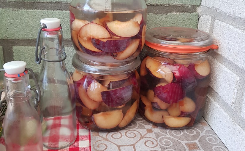 Pruimen likeur maken&nbsp;DIY