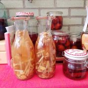 Citroengras, Gember likeur maken…DIY…