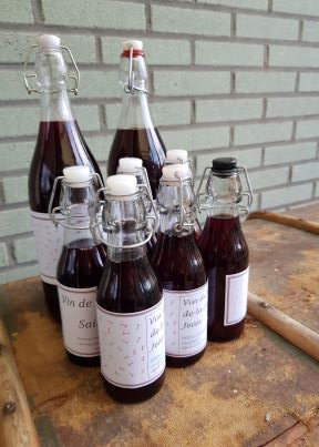 Walnoten wijn maken…DIY.