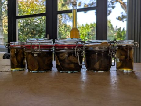 Gekonfijte Vijgen op Siroop…Grieks Recept om je onrijpe vijgen te verwerken…DIY